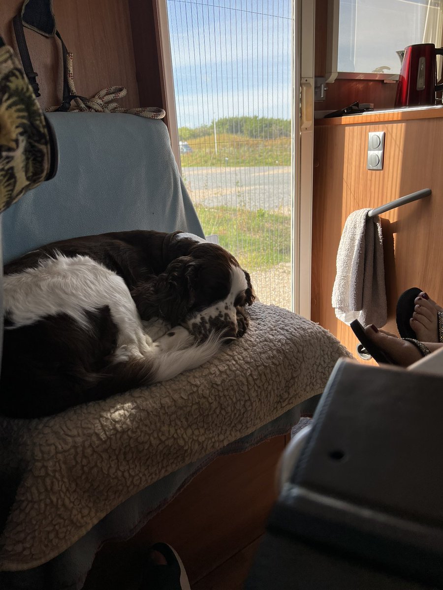 ADB0806's tweet photo. Holiday living if you’re called #CharlieChops!!! https://t.co/cnLisg6XdD