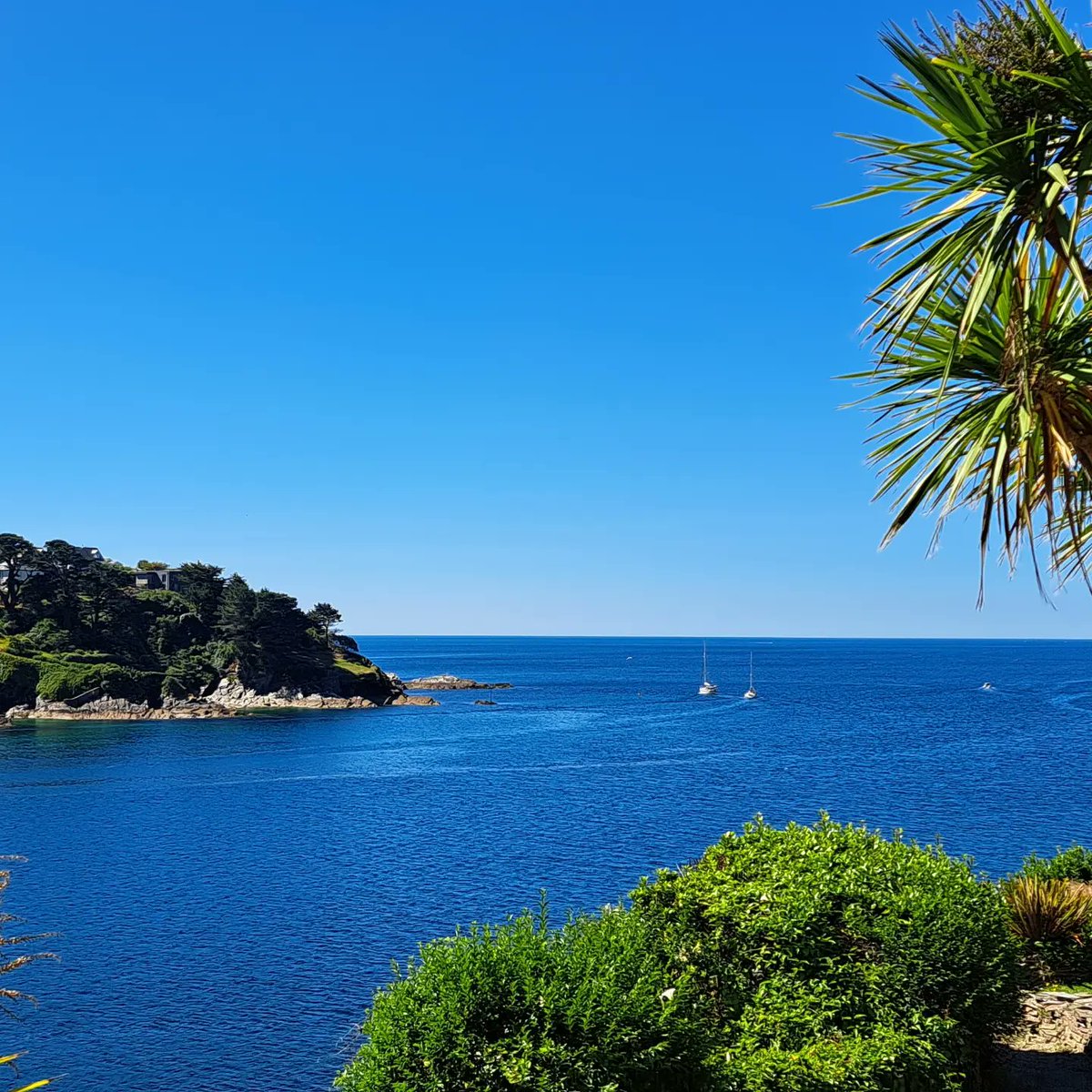 RenateDavieTour's tweet photo. Glorious day in @FoweyInfo with guests from the #MSMaud, @HurtigrutenUK, giving a guided #townwalk.
#rookandthebook @FoweyAquarium @LoveFowey @fowey_festival @FoweyHarbour @CruiseBritain @BBGuides @LoveCornwallUK @GREATBritain @cruiselifestyl https://t.co/pSqoQWpTyV