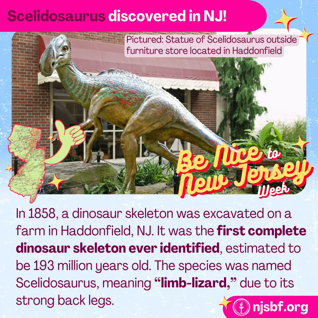 NJStateBarFdn's tweet photo. It’s Be Nice to New Jersey week! Tell an out-of-state friend this NICE fact about NJ!
The Foundation is proud to serve the Garden State. For more information about our free educational resources, visit our website. https://t.co/9YoWv03880
#NJSBF #BeNicetoNewJerseyWeek #NewJersey https://t.co/Bo5heIpLyl
