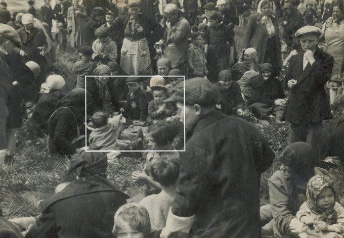 AuschwitzMuseum's tweet image. 9 July 1944 | 5 trains crossed the border in Košice. It ended the main phase of deportation of Hungarian Jews to #Auschwitz. Between May 14-July 9, 142 trains brought some 420k of them to the camp

Including a child who found a dandelion near a gas chamber lekcja.auschwitz.org/en_6_dep_zydow/