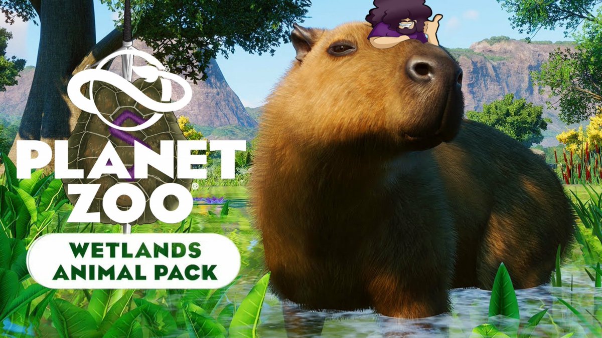 SamuraiTort's tweet photo. Zoo Time 😎 https://t.co/1tD0ICDUg8