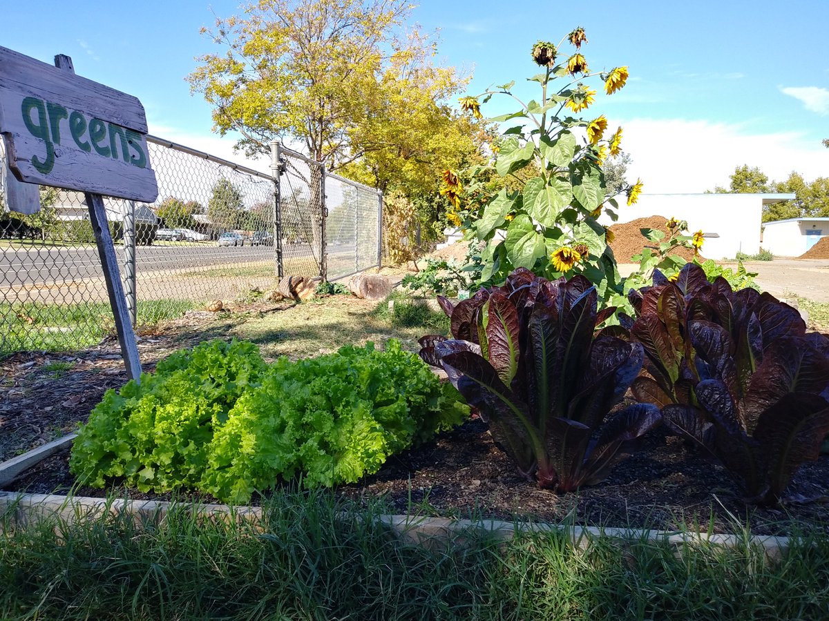 Just updated our <a href="/Givethio/">Giveth</a> page 👇

giveth.io/project/amwfun…

You can also find us on <a href="/gitcoin/">Gitcoin</a>, <a href="/dripsnetwork/">Drips</a>, <a href="/UnlockProtocol/">Ʉnlock Protocol</a> &amp; @fractional_art 

Happy summer 🌞🌻🏖️