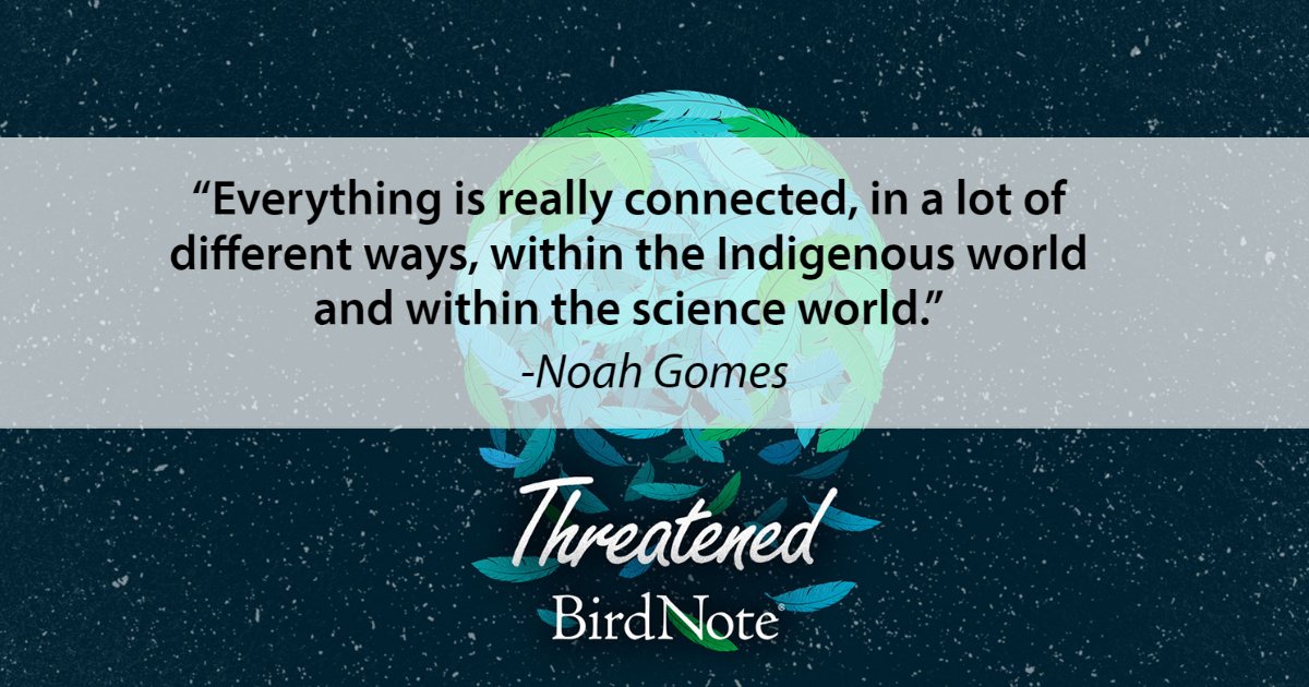 BirdNoteRadio's tweet photo. Threatened Season 3 dives deep into how humans are answering the call to protect the birds of Hawai‘i, and how the lives of these birds are connected with the lives of Hawaiian people. Listen to the trailer: https://t.co/rw4PeQilrC https://t.co/0IgJM6heZF