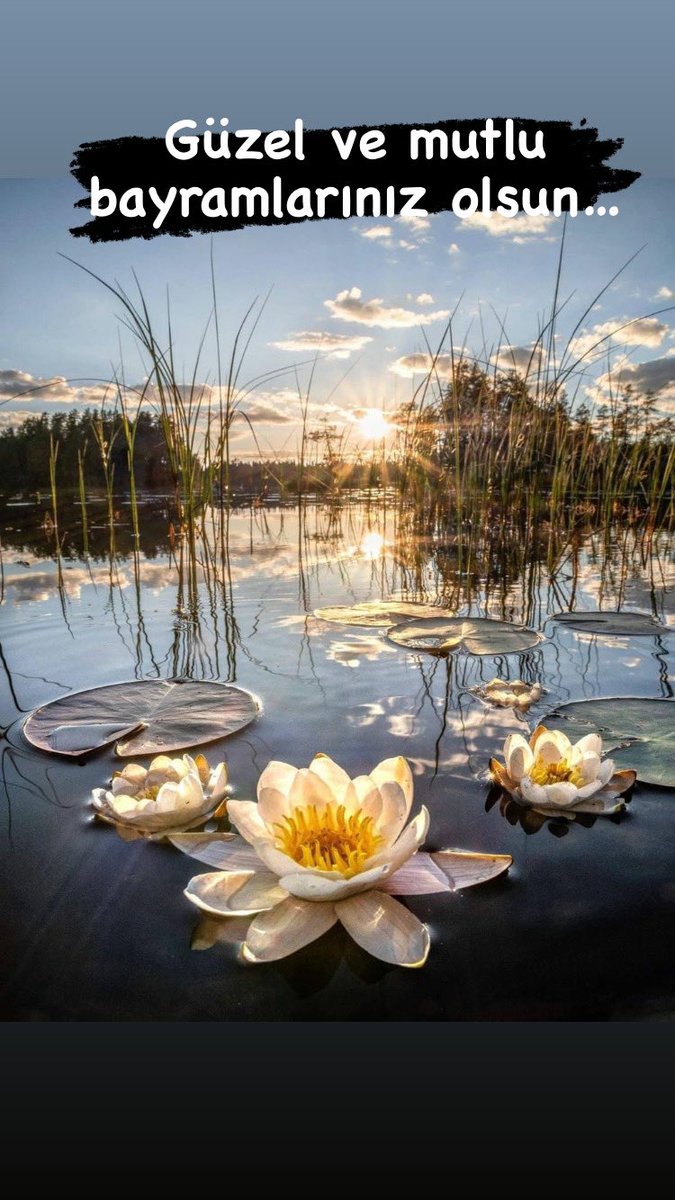 #KurbanBayramınızMuebarekOlsun