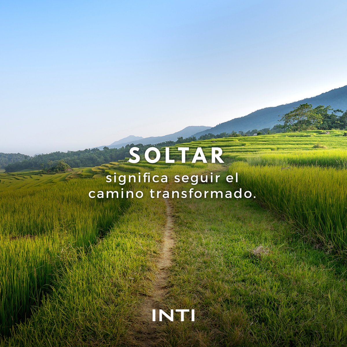 IntiNetwork's tweet photo. El primer paso para la transformación es liberarnos del pasado, honrando lo que fuimos y aceptando nuestra nueva realidad 🙏🏻✨
.
#MantraInti #quotes #inspiration #soltar #transformación https://t.co/sI61z2zv5L
