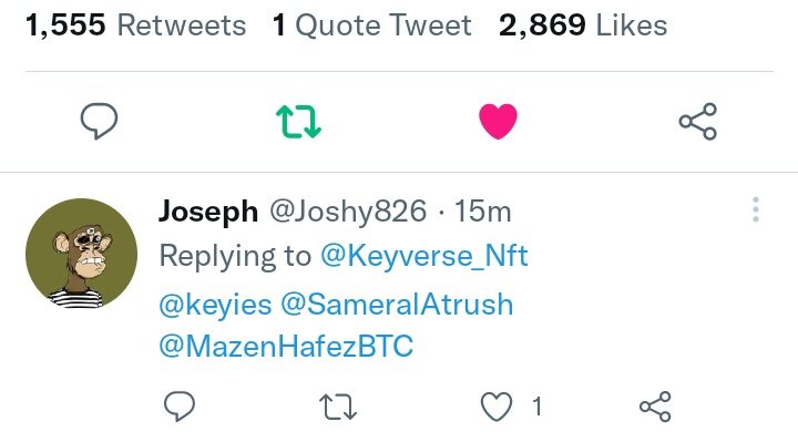 Joshy826's tweet photo. @Keyverse_Nft DONE https://t.co/bl09dJTru2