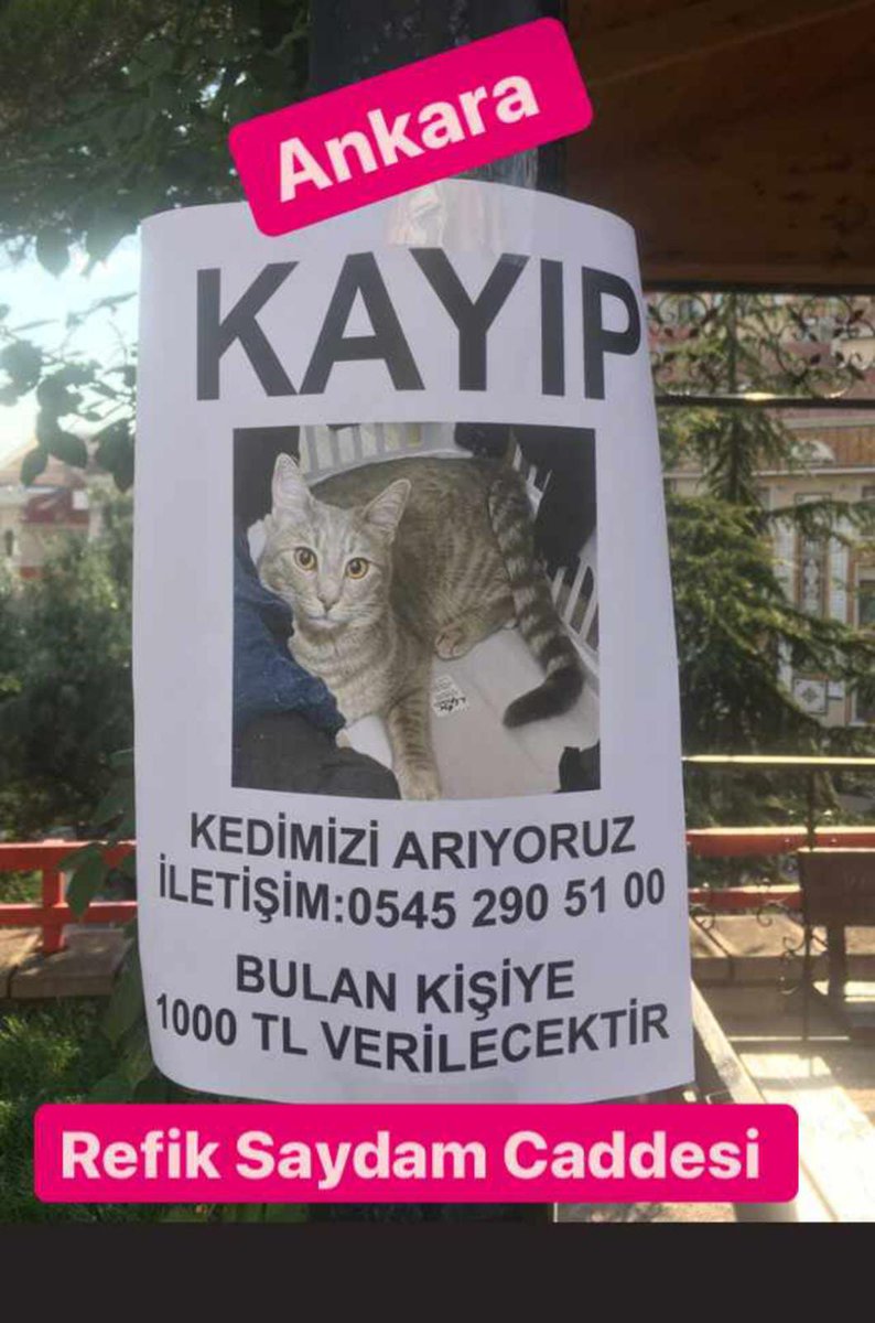 Fatmaalp77's tweet photo. Yeterki bulunsun !!! https://t.co/nP5xUdgbFG