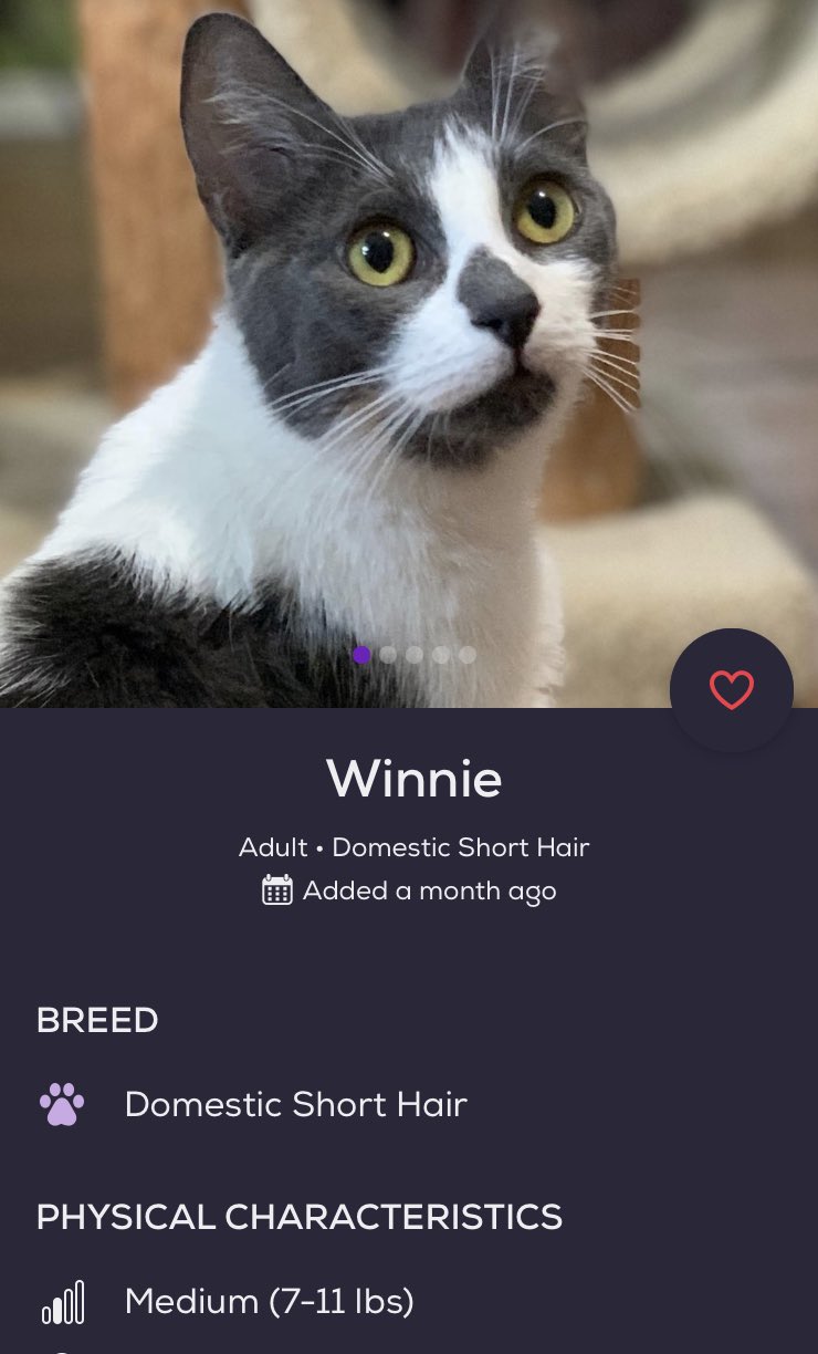 Tanner Hallman on Twitter "Going down to Northport to check out Miss