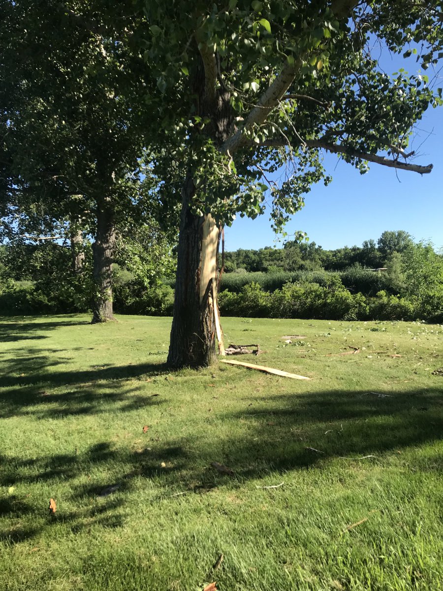 I’m guessing we had a lightning strike last night.