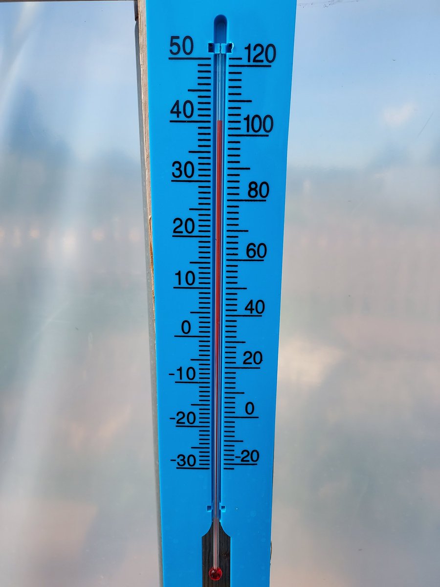 daveontheplot's tweet photo. Just back from watering the polytunnel and half plot, the heat was pretty unbearable at first tbh. Much better after both doors being open for 30 minutes. #Heat #polytunnel #allotment #growyourown #watering #Firsttunnels #skin #hightemp https://t.co/x8Fcn2iltG