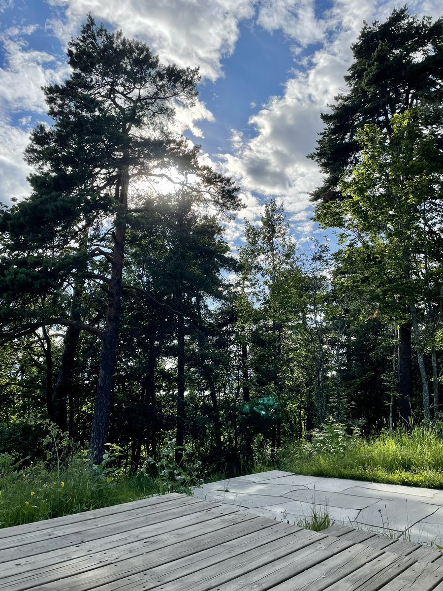 Techtulia's tweet photo. Una belleza #Porcon. Estupendo ejemplo de reforestación/plantación forestal. Nada que envidiar a estos lares. Ojalá hayan más #Porcon en #Cajamarca @MesiasGuevara … Hils! https://t.co/MCcYthpUDU