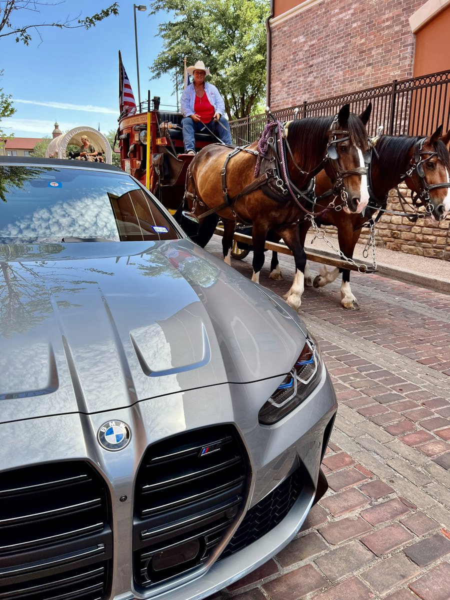 MrDrug1's tweet photo. @BMW Horses and horsepower. https://t.co/G4j6xYUCJZ