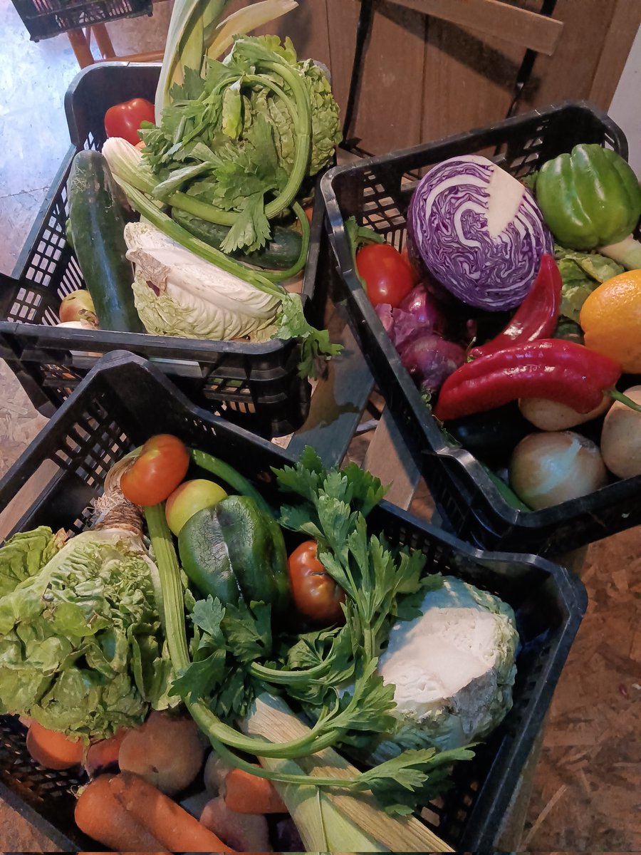 No desperdiciamos nada estás son las cestas sorpresa de hoy a un tercio de su precio normal