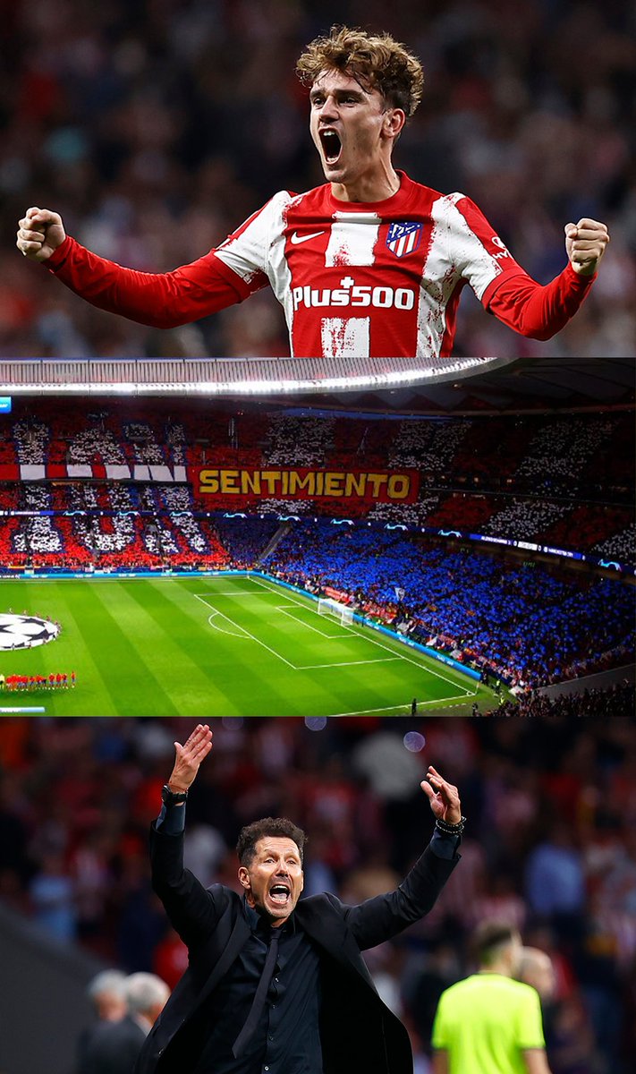 Atleti's tweet photo. 🔜 Esto está a punto de empezar... 🤍❤️ https://t.co/a0YRqp1GCh