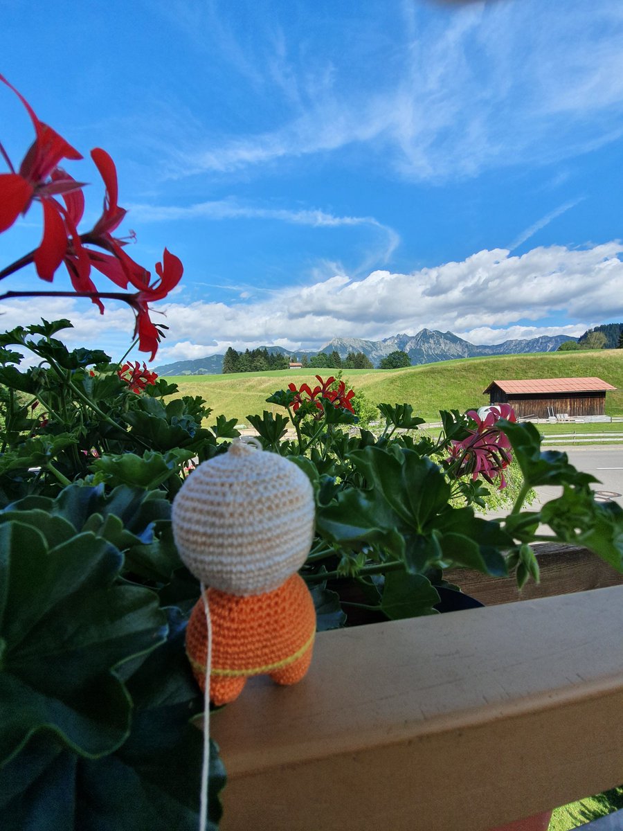 maeuerle25's tweet photo. Urlaaaaaub...

#obermaiselstein #Allgäu #maschenmassen #häkeln #amigurumi #handarbeitsclub https://t.co/RP3VWgvHcF