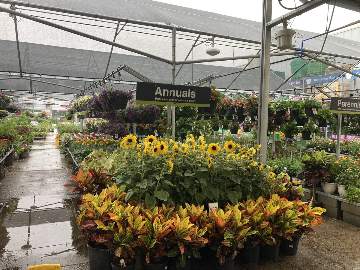 Amanda Fore tweet media