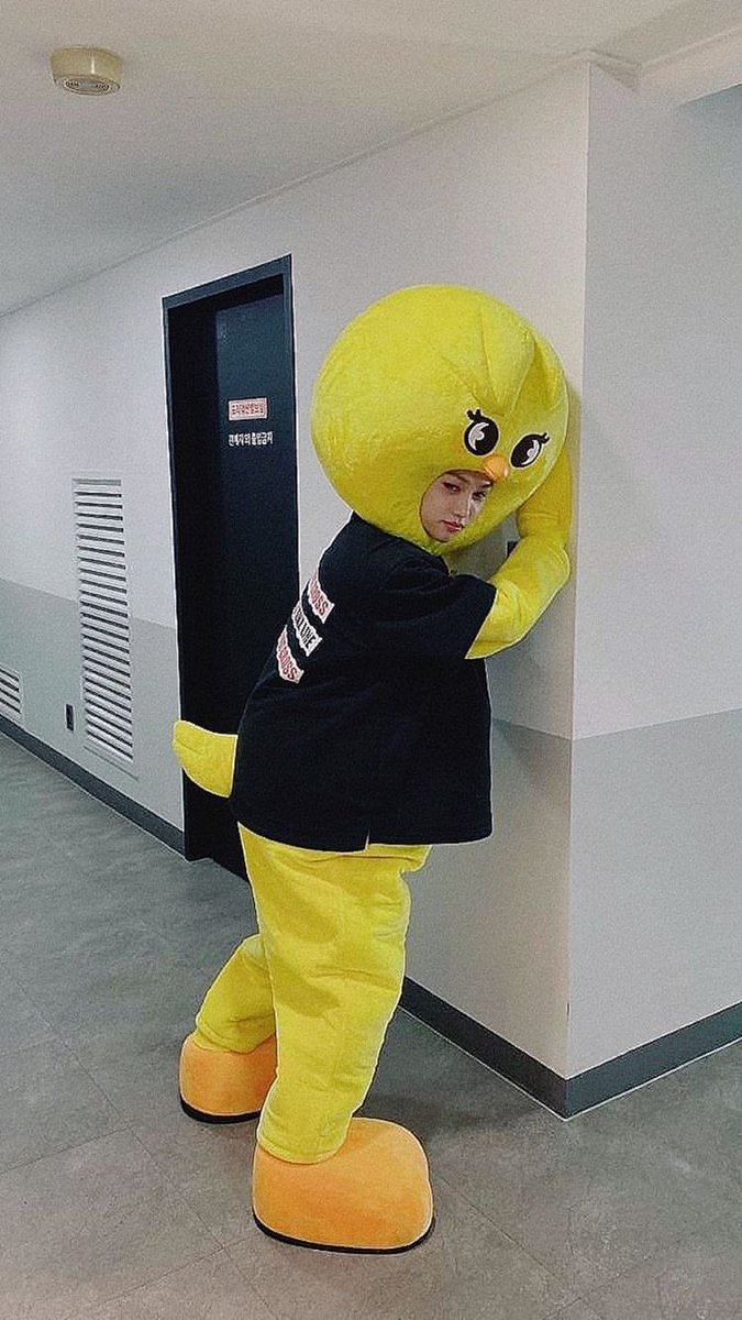 daily felix jagiya (@lixarchve) on Twitter photo 