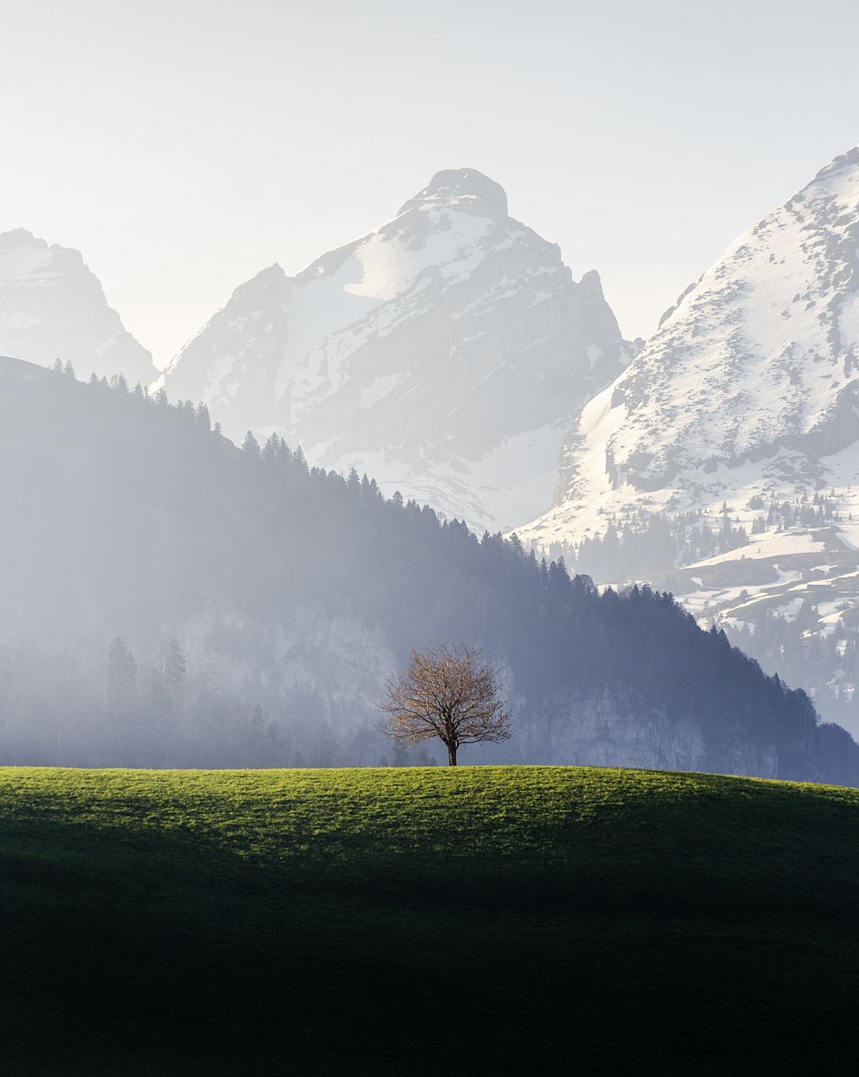 Nature Space (@naturespace_) on Twitter photo 