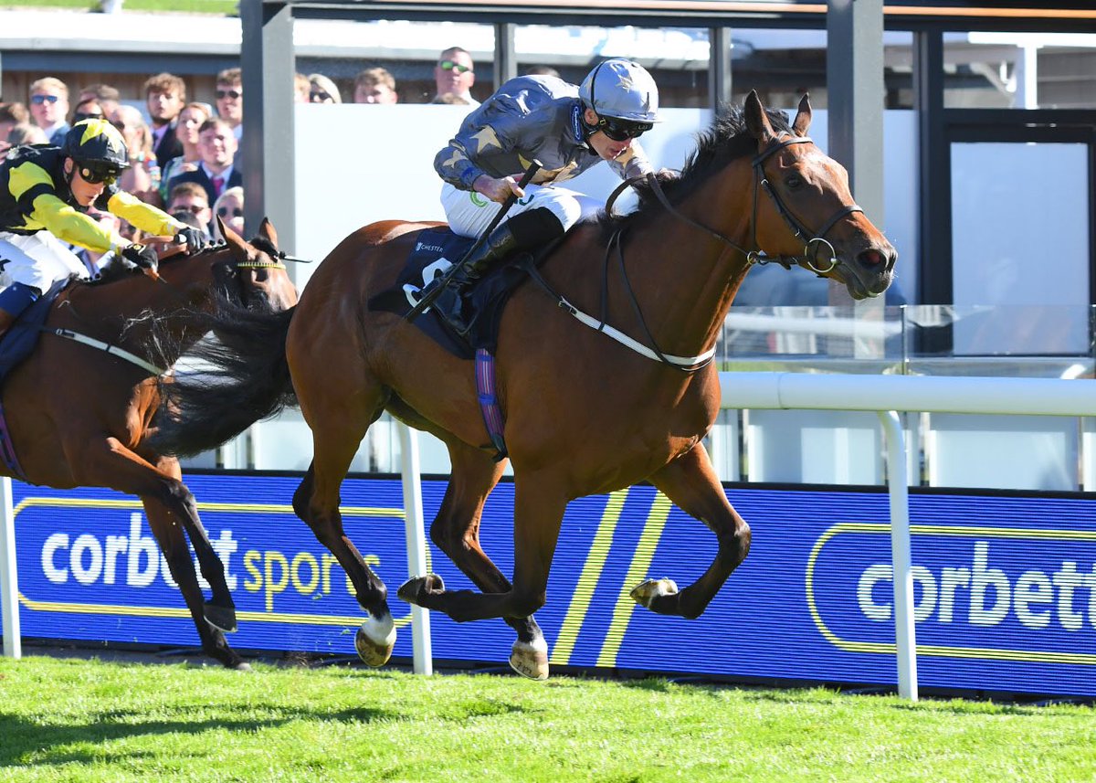 RACE 7 RESULT - The Corbett Sports Handicap Stakes 

🥇The New Marwan
🥈Urban War
🥉Angels Landing 

Jockey: Barry McHugh <a href="/bazmchugh/">Barry McHugh</a> 
Trainer: Richard Fahey <a href="/RichardFahey/">Richard Fahey</a> 
Owner: Dr Marwan Koukash <a href="/drmarwanK/">Marwan Koukash</a> 

📸 <a href="/offphoto/">OfficialPhotographers</a> 
@corbettsports