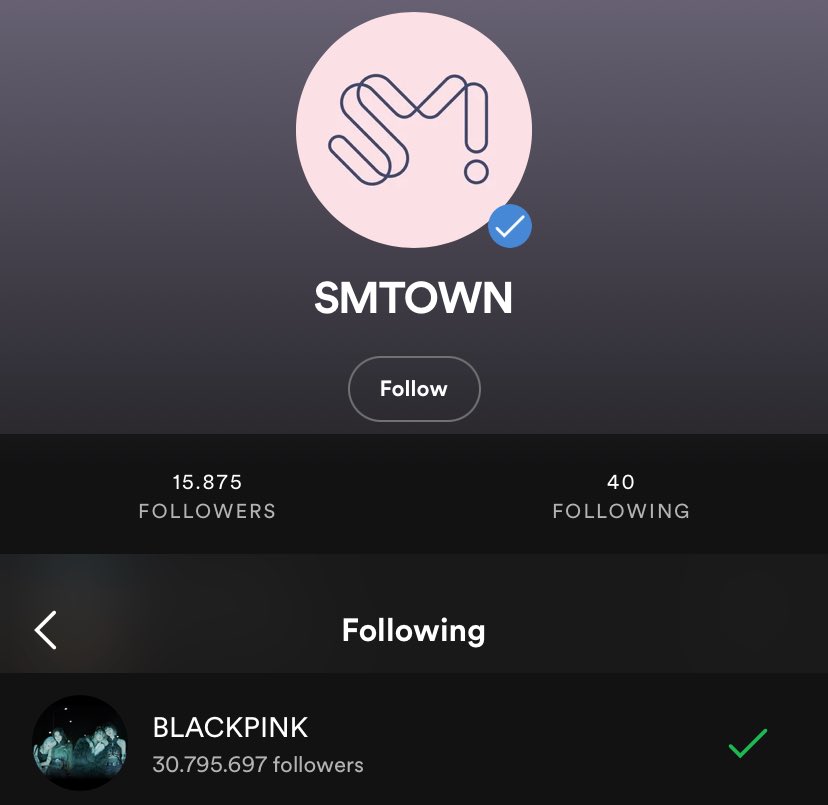 villainpinks's tweet photo. following their artists and then blackpink 😭 https://t.co/yAvWvLUudk