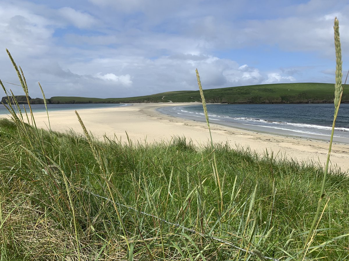 kayaker0711's tweet photo. My partner and I had an awesome first day in Shetland, guided tour of the south with @Island_Trails, including St Ninian’s Isle, MY FIRST PUFFINS and Jarlshoff prehistoric and Norse settlement 😀 https://t.co/jwdiAcB8k0