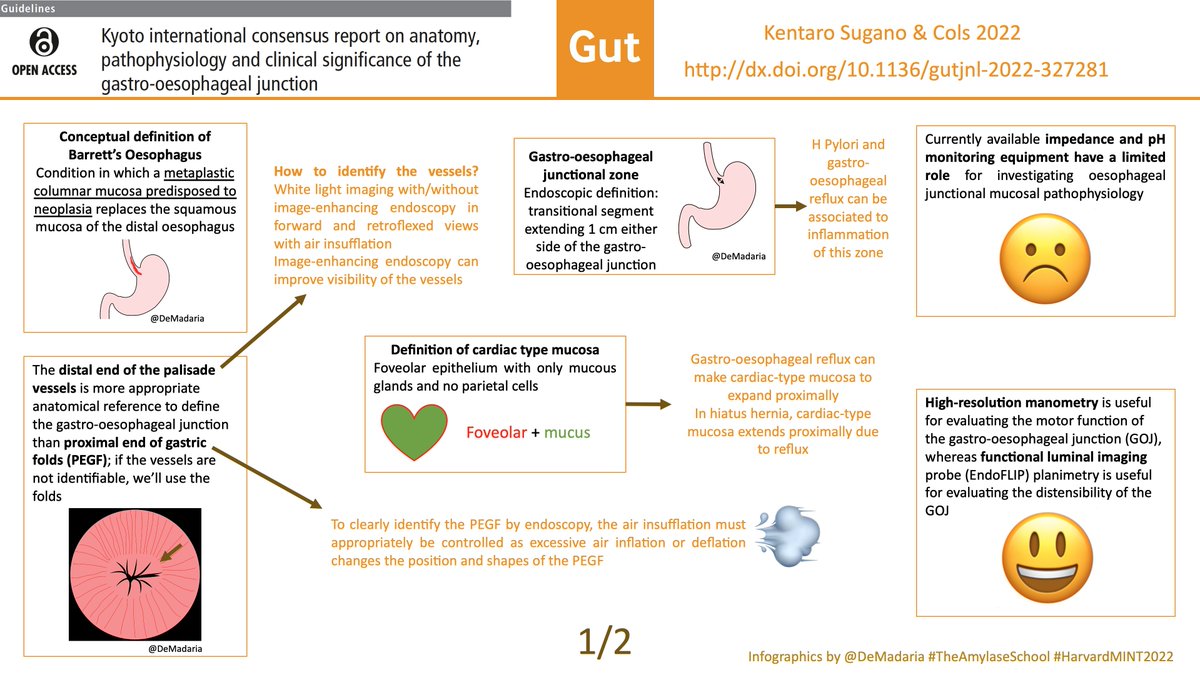 1/5
This is an easy visual guide addressing the Kyoto international consensus report on anatomy, pathophysiology and clinical significance of the gastro-oesophageal junction published in <a href="/Gut_BMJ/">Gut Journal</a> <a href="/emadelomar/">Emad El-Omar</a> 
Read this Twitter thread! #TheAmylaseSchool #UEGambassador #Foregut