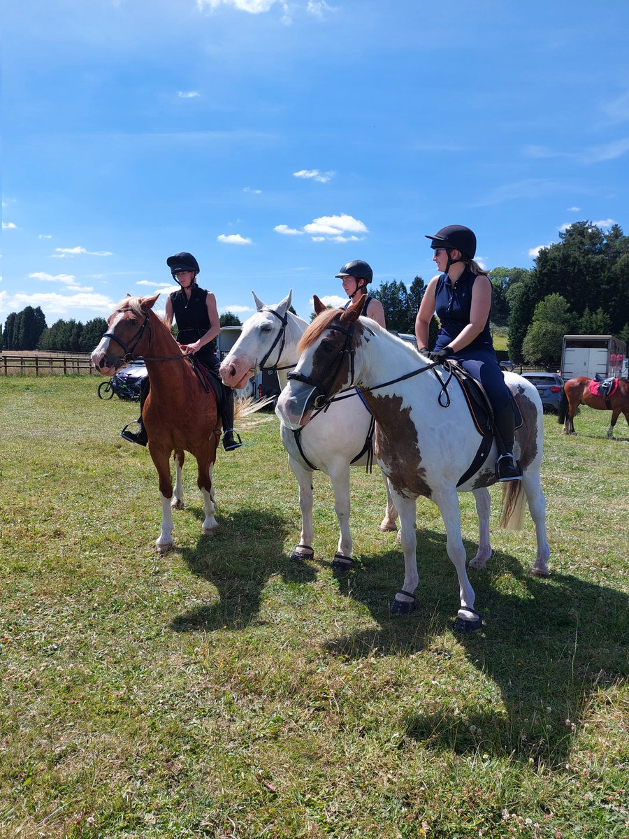 HoptonRehab's tweet photo. The girls went on fun ride today. All back safe and sound and had a great time. The lovely chestnut only came in on Thurs and what an absolute star ๐ The skewbald is 24 and the grey came to us as a 4 yr old now aged 12 โค๏ธ #SafeToRide #happy #fun #Horses https://t.co/0veC0DbdmE