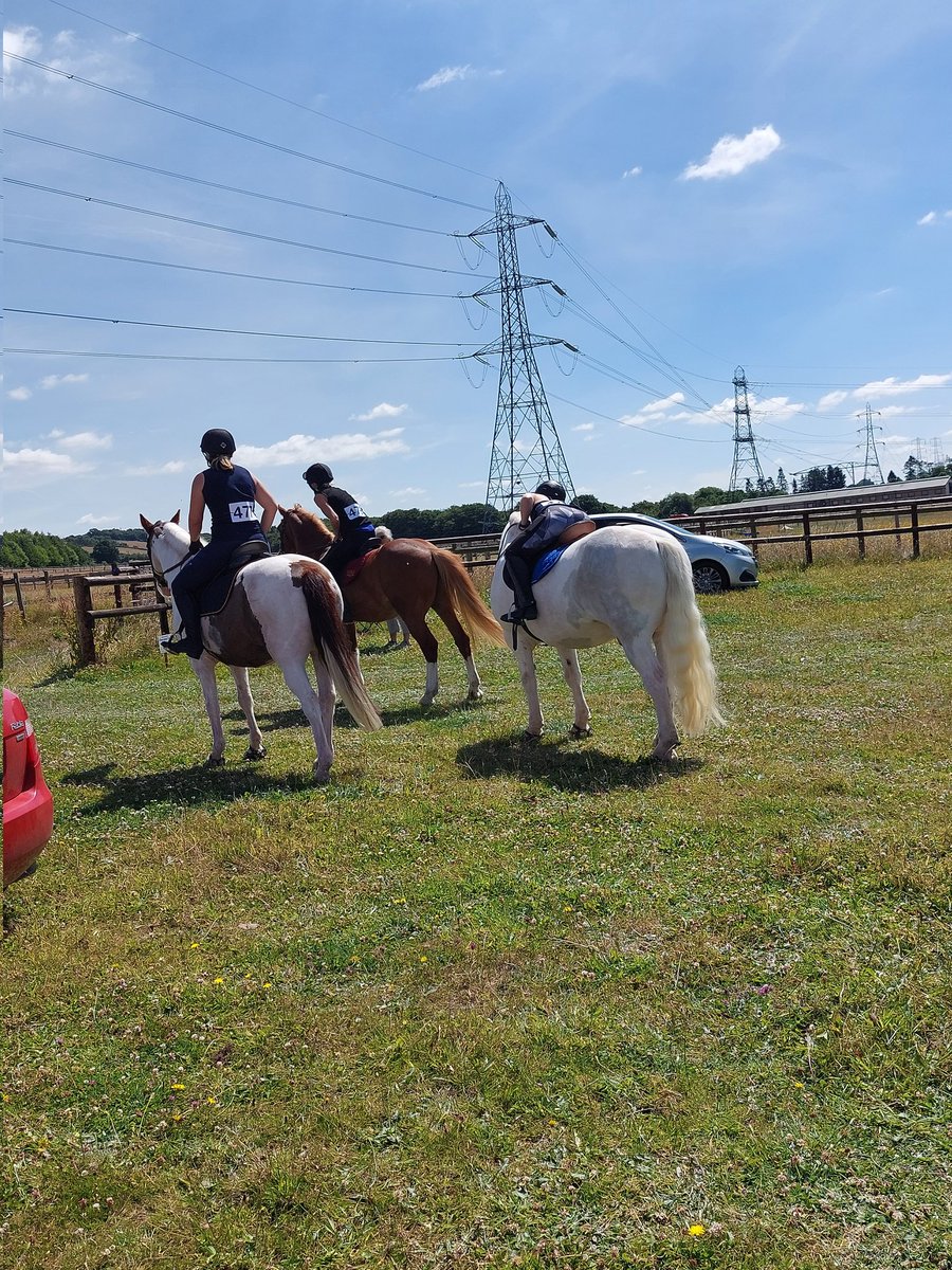 HoptonRehab's tweet photo. The girls went on fun ride today. All back safe and sound and had a great time. The lovely chestnut only came in on Thurs and what an absolute star ๐ The skewbald is 24 and the grey came to us as a 4 yr old now aged 12 โค๏ธ #SafeToRide #happy #fun #Horses https://t.co/0veC0DbdmE