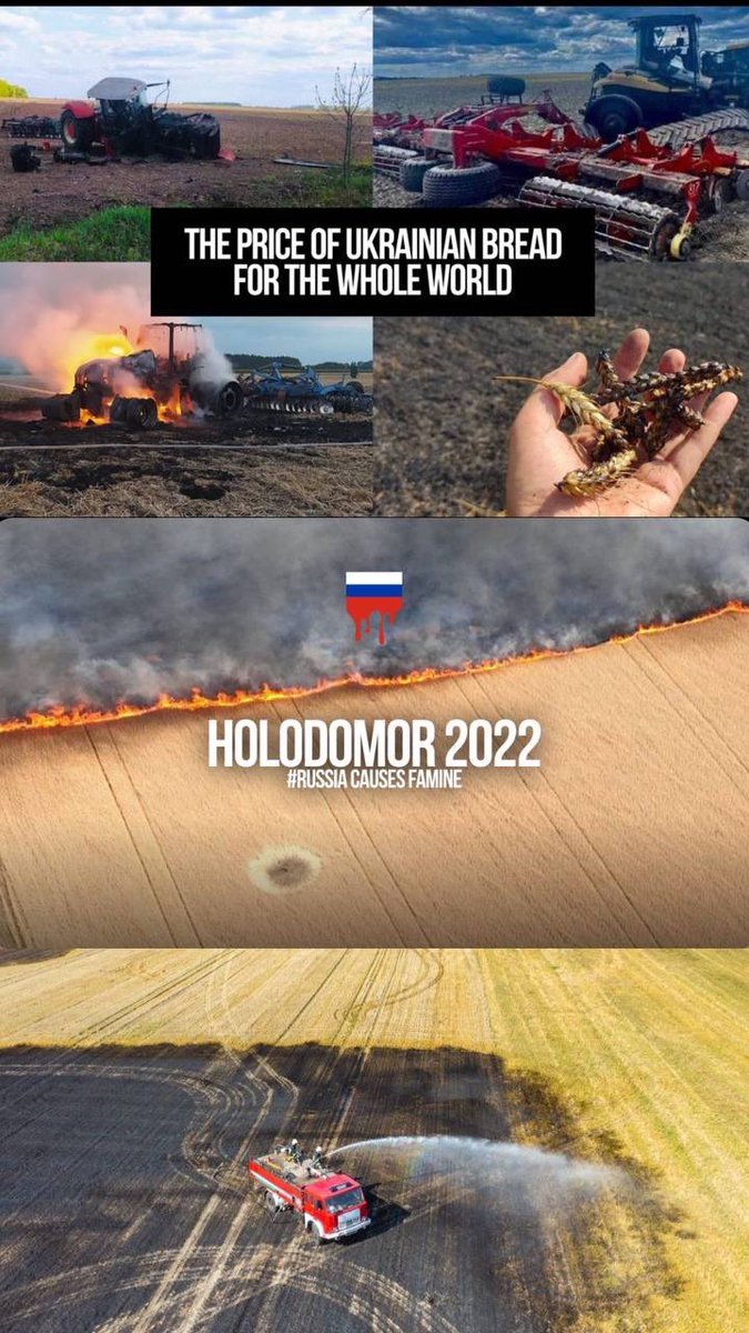 ukrainkatyt's tweet photo. Такий вигляд має український урожай

Така ціна "ситості" всього світу 😔

🇺🇦 #Україна #RussiaTerroristState #WarInUkraine #UkraineRussiaWar #Ukraine #UkraineWar https://t.co/4zxjb38rjX