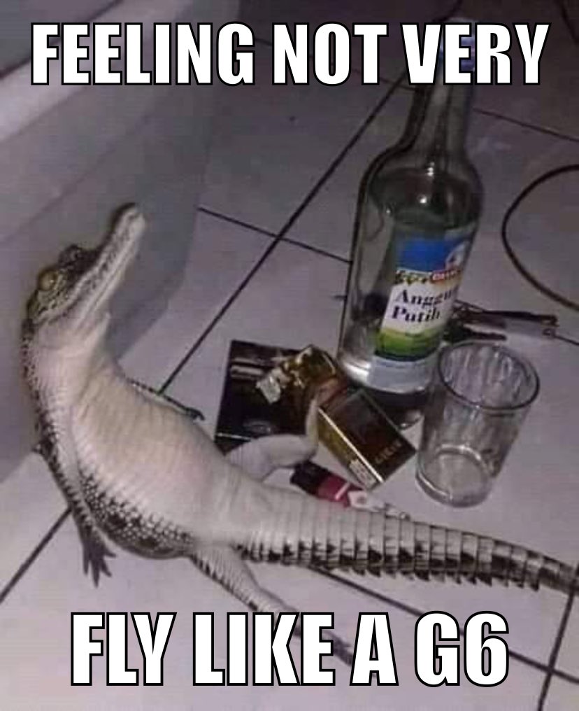 Gators Daily 🐊 (@gatorsdaily) on Twitter photo 