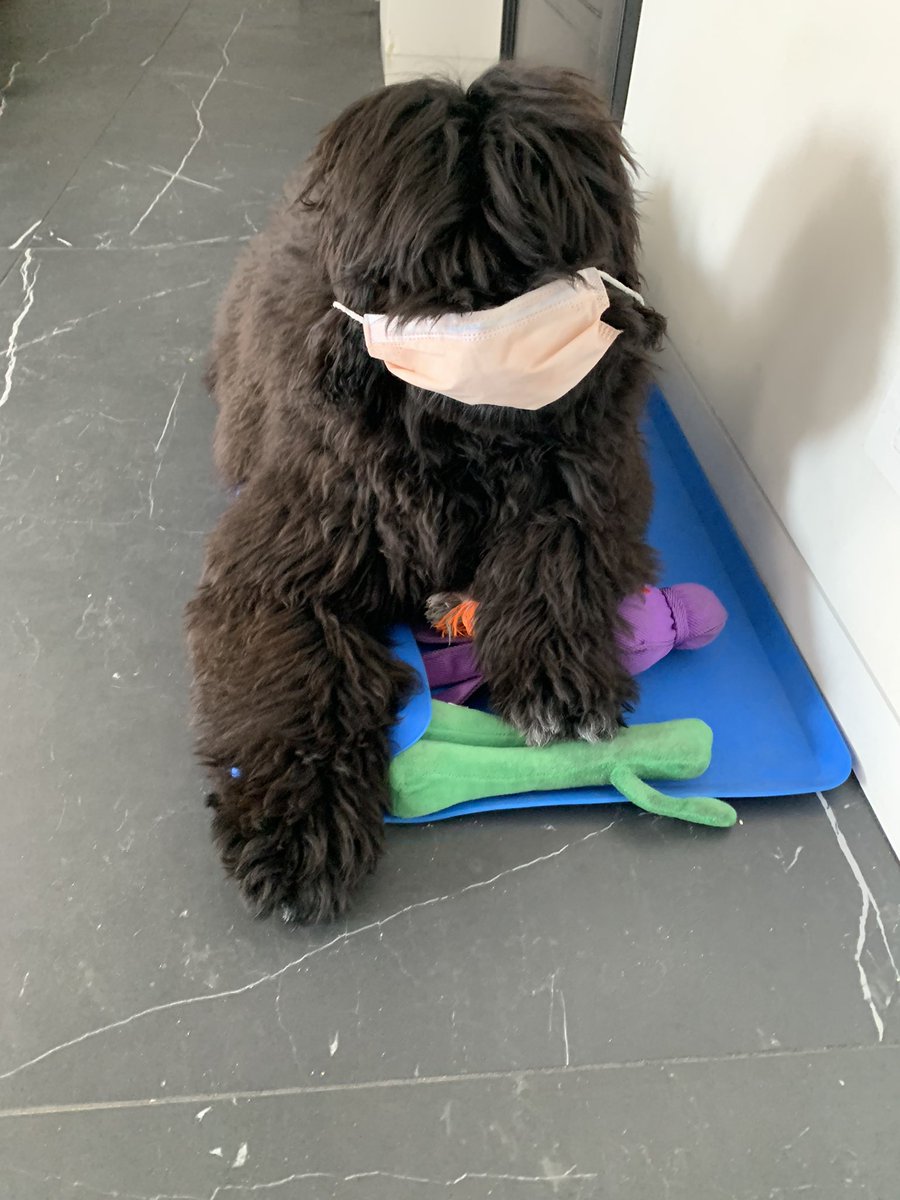 Nutellawoof's tweet photo. I don’t like this #CovidIsNotOver https://t.co/sCtrZKxrxL