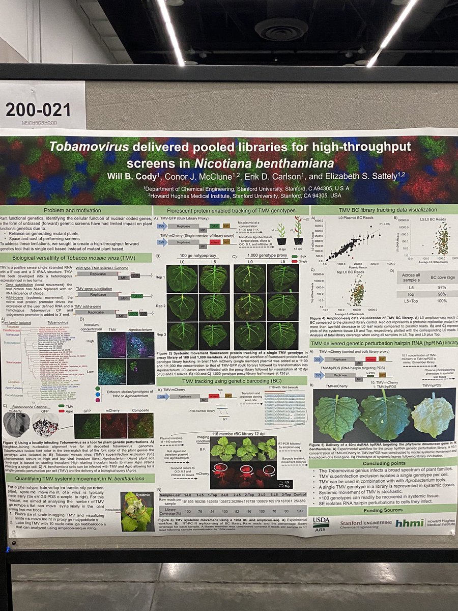 Happy to represent @Sattely_lab at #PlantBio2022. Drop by my poster (200-021) later if you want to talk Virology and see a series of experiments I ran that blew my mind!