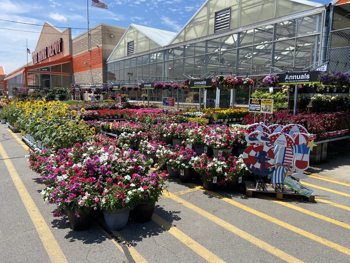 Amanda Fore tweet media