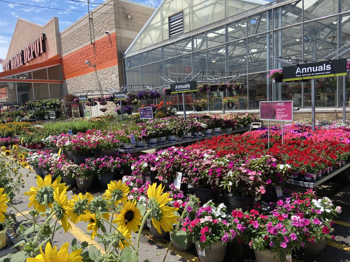 Amanda Fore tweet media