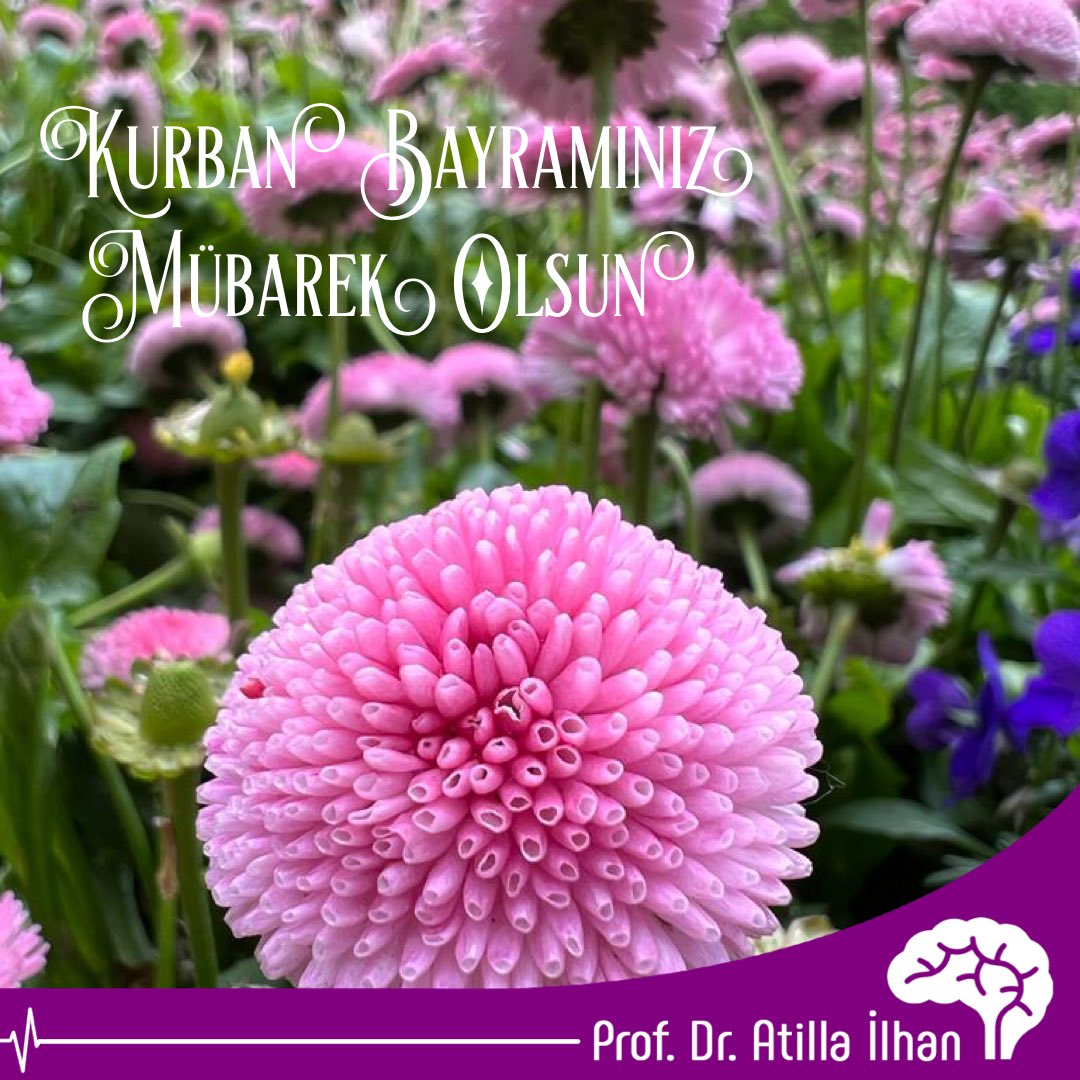 dratillailhan's tweet photo. ᑭᖇOᖴ. ᗪᖇ. ᗩTIᒪᒪᗩ İᒪᕼᗩᑎ
🧑‍💻: 𝚠𝚠𝚠.𝚍𝚛𝚊𝚝𝚒𝚕𝚕𝚊𝚒𝚕𝚑𝚊𝚗.𝚌𝚘𝚖
☎️: 𝟶 (𝟻𝟺𝟹) 𝟾𝟼𝟺 𝟻𝟻 𝟾𝟺

#dratillailhan #nöroloji #ankara #kurban #bayram #kurbanlık #kurbanbayramı #bayram #nöroloji #nörolog #algoloji #algolog #ankara #çukurambar #profdratillailhan https://t.co/00ZNnLZede