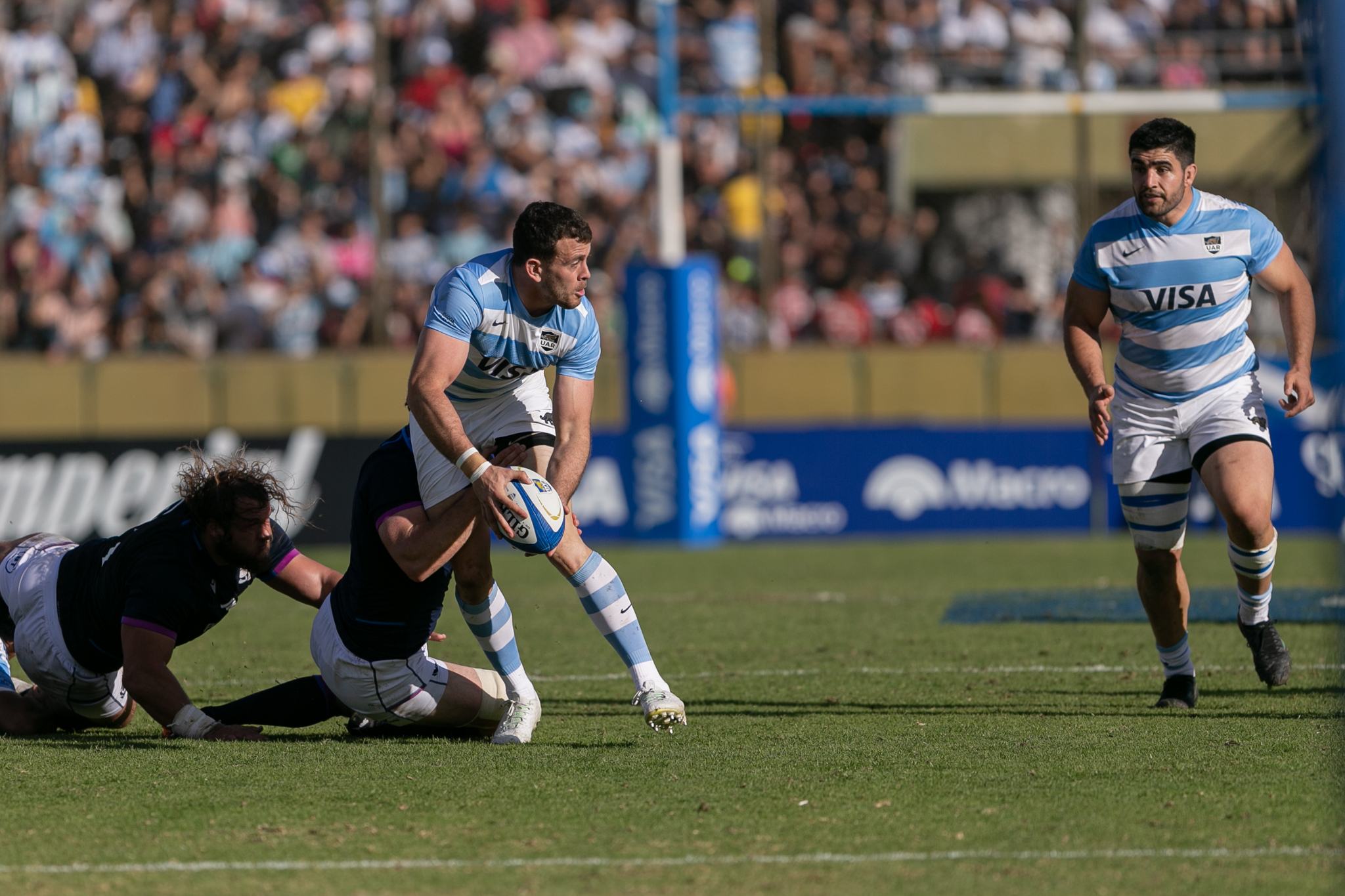 Los Pumas (@lospumas) / Twitter