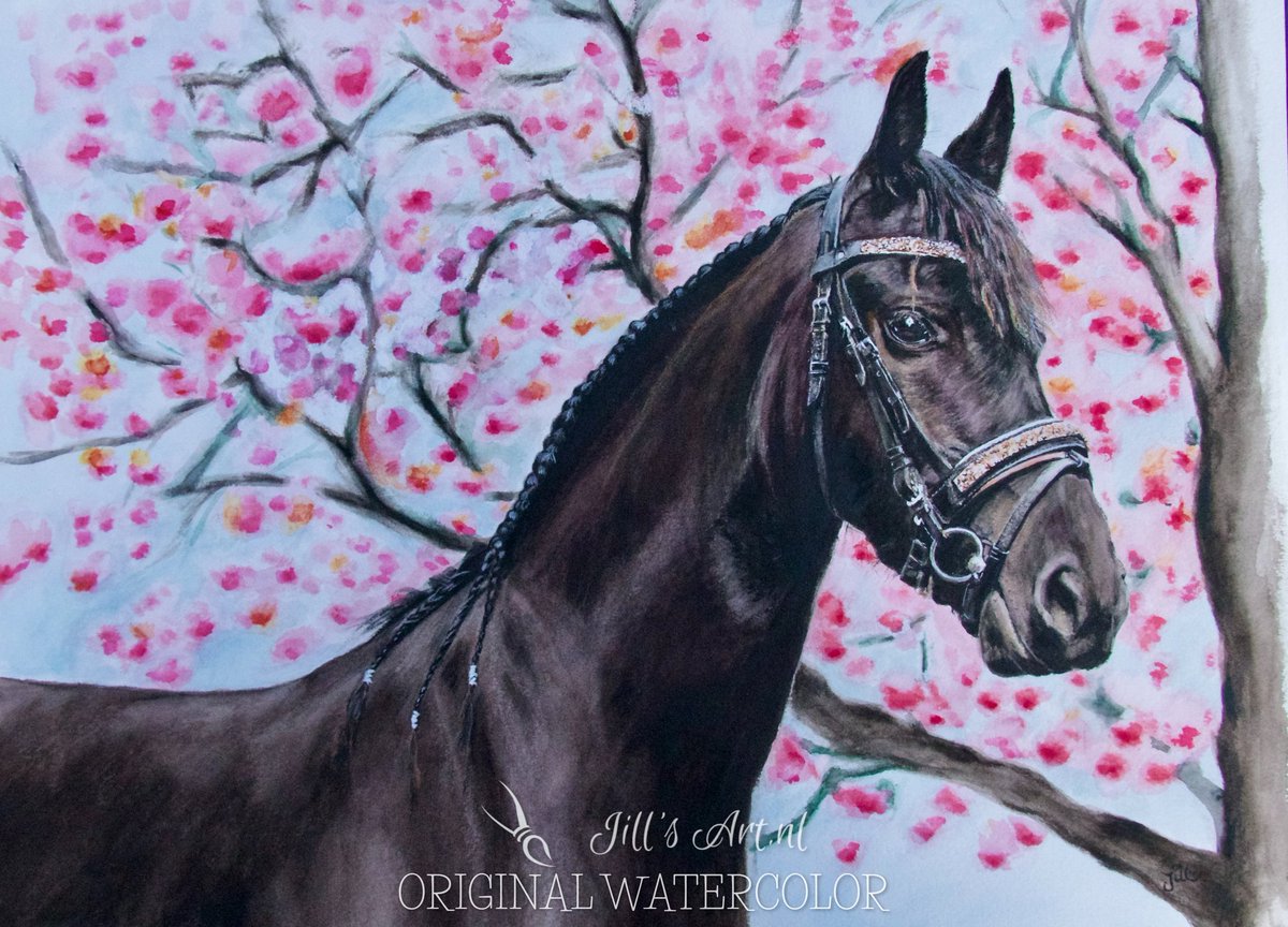 JillsartN's tweet photo. #friespaard #friesepaardenkunst #frisianhorseart #frisian #frisianhorse #commissionedart #contemporaryartist #equineart #equineartist #watercolor #watercolorartist #jillsart #equiday #internetdown https://t.co/oKZiBQd3N7