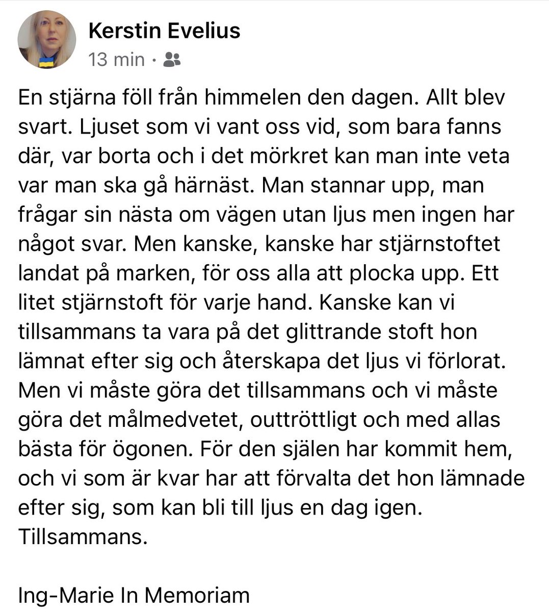 Kerstin Evelius 🌻 tweet media