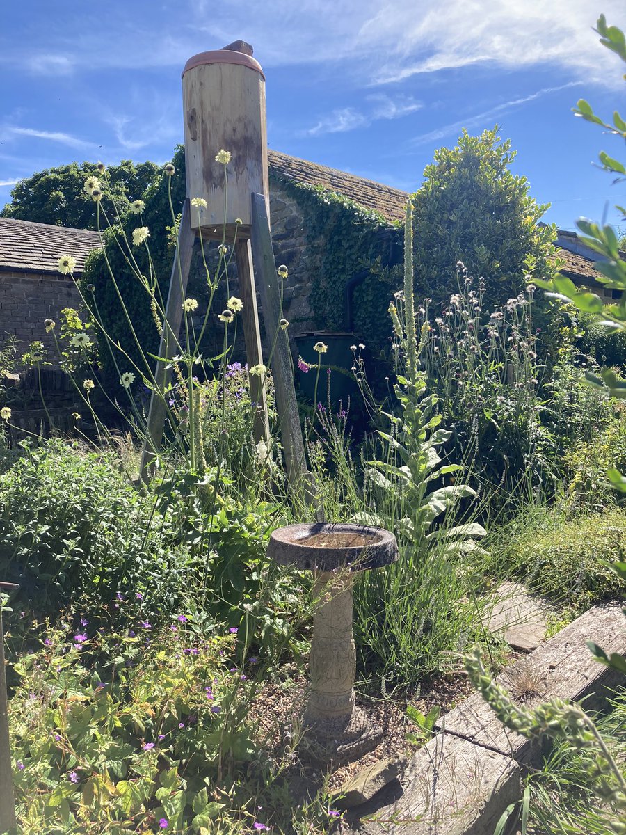 Fascinating, inspiring and relaxing tour of three gardens and an orchard in Wharncliffside and Ewden this afternoon with so many butterflies we never see on our suburban part of the city. Lots of ideas for doing things a bit differently and taking things a bit wilder.