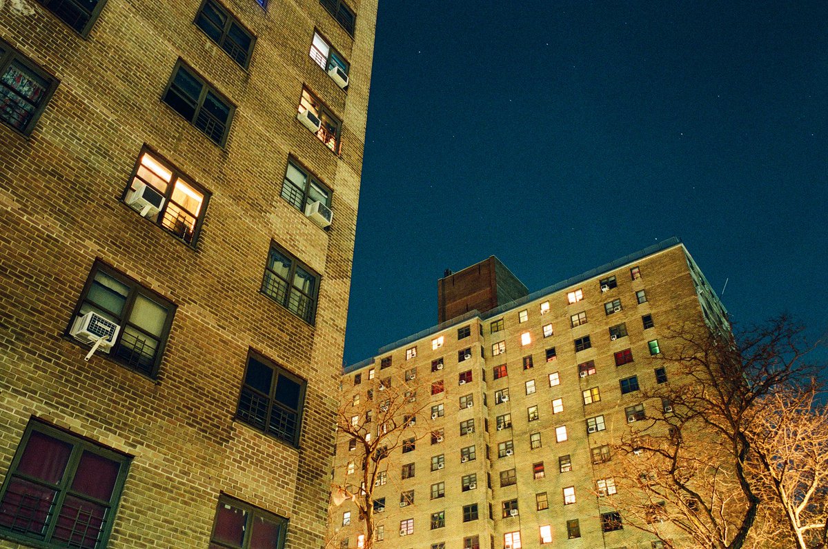 trevor j tweet media