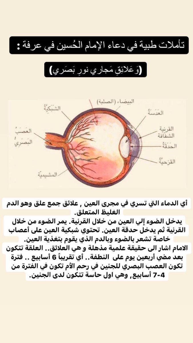 I_starz1's tweet photo. تأملات في دعاء الإمام الحسين في يوم عرفة : https://t.co/hJsG0AehJm
