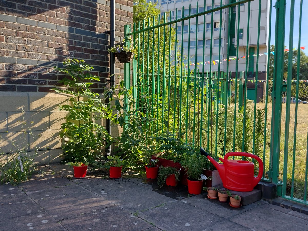 Pathway Gardens tweet media