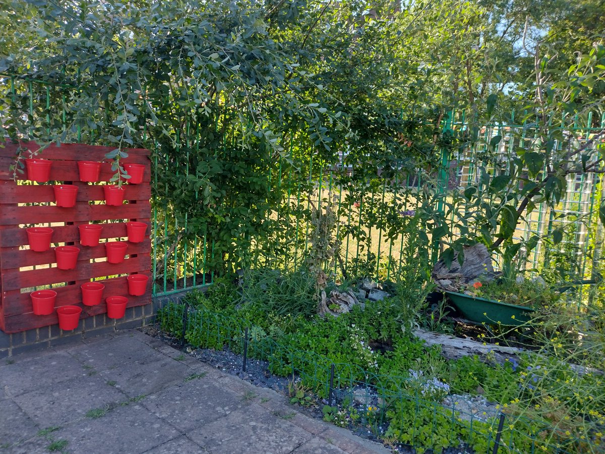 Pathway Gardens tweet media