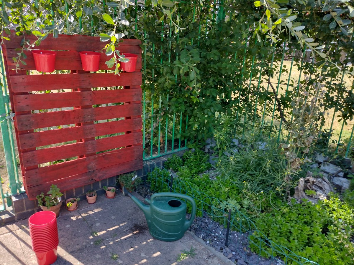 Pathway Gardens tweet media