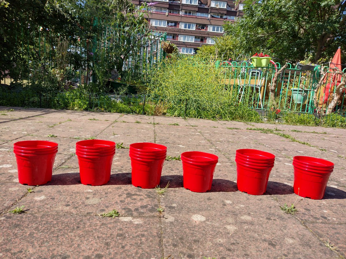 Pathway Gardens tweet media