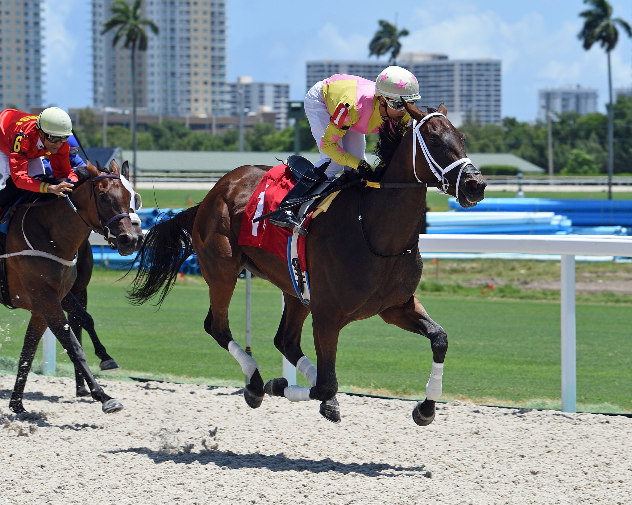 Gulfstream Park Horse Race Results - 5lj0cg5