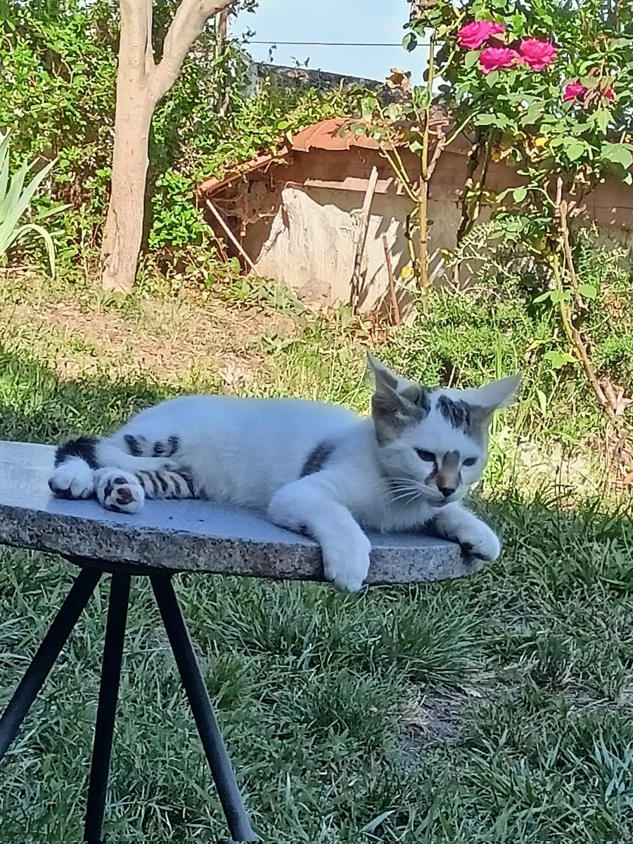 brestalingrad's tweet photo. Mes ptits bb 😊👉👈 https://t.co/oWc3VaTa9e