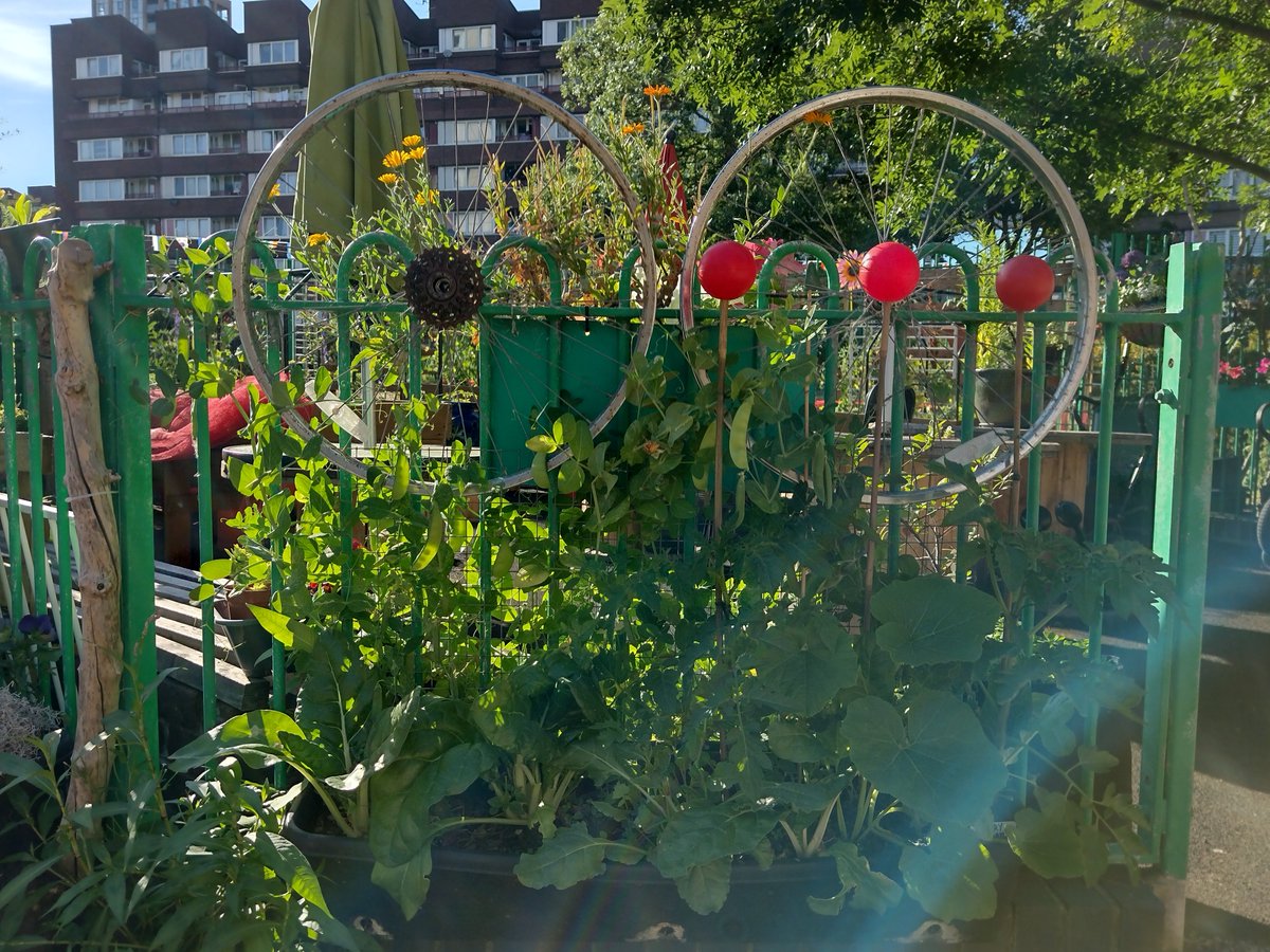 Pathway Gardens tweet media