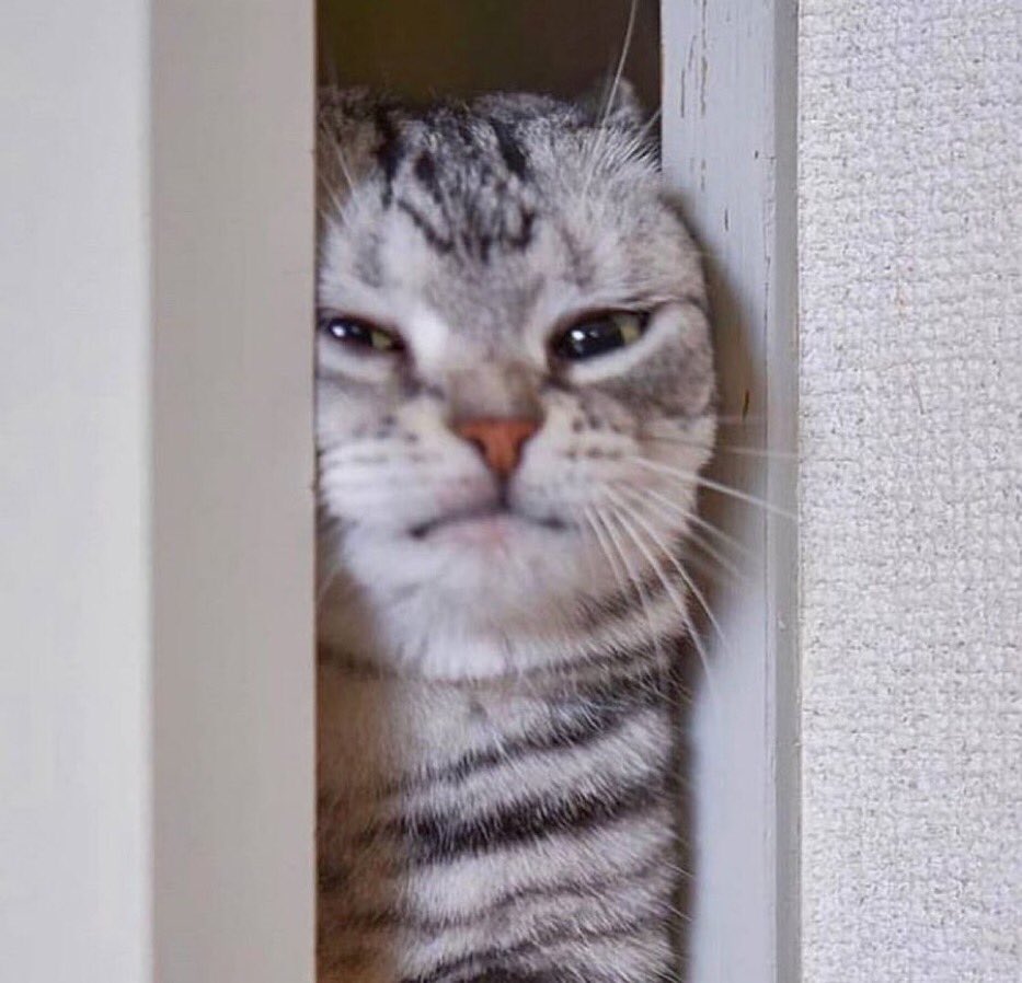 Başım çok fena..Sende Arveles var mı ?