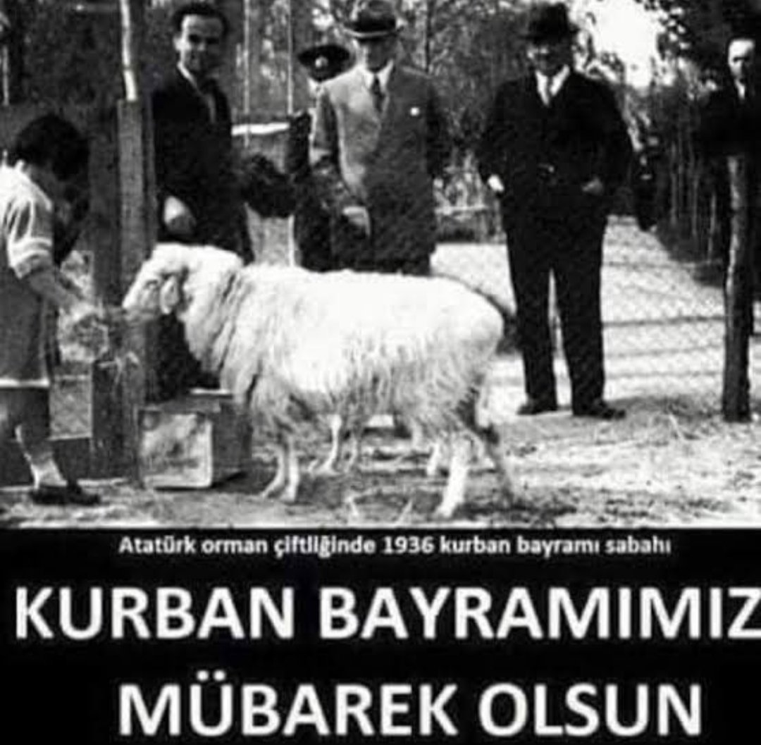 Siz Atamdan daha mı iyi bileceksiniz?